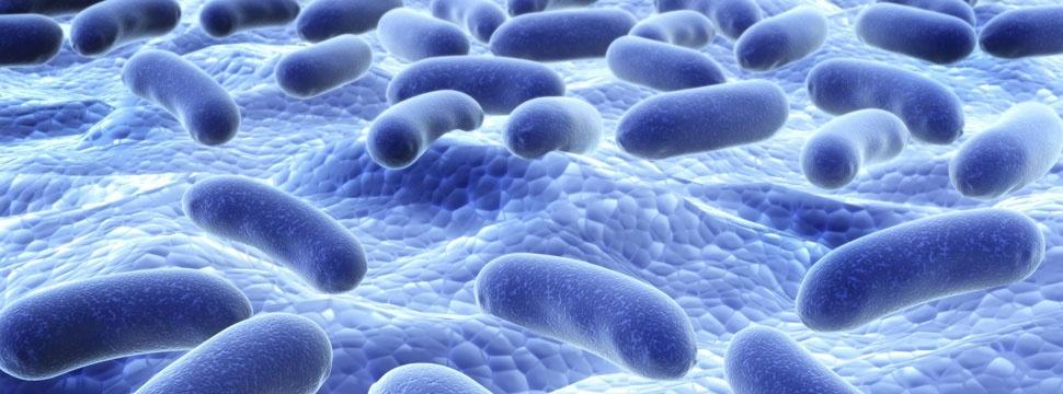 Появился новый способ доставки полезных бактерий в организм человека