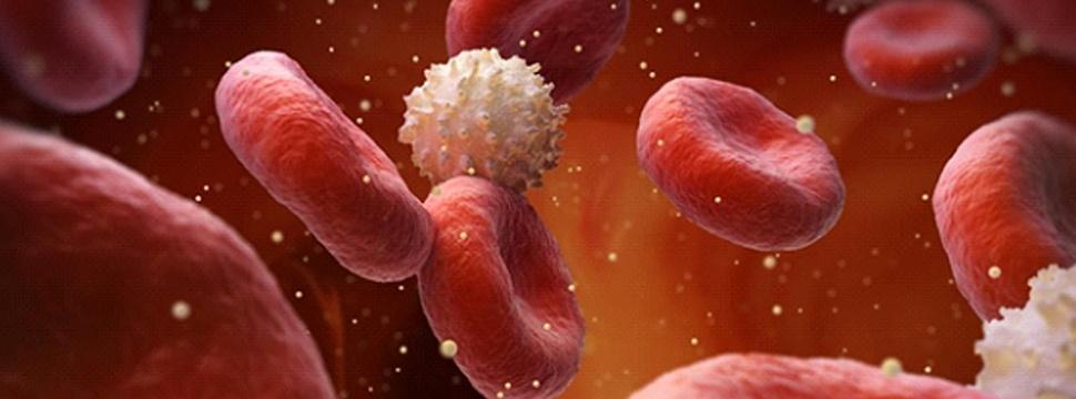 Pfizer объявила об успешных испытаниях генной терапии гемофилии В