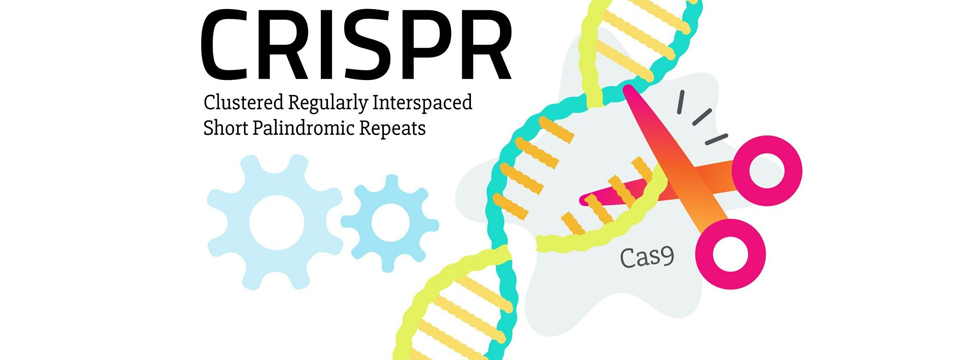 Первые лекарства, действующие по технологии редактирования генов CRISPR